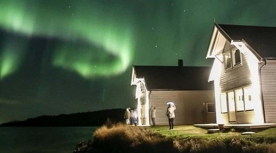Senja: Wood-Fired Sauna Barrel - The Valvåg setting: views that make the cold feel worth it
