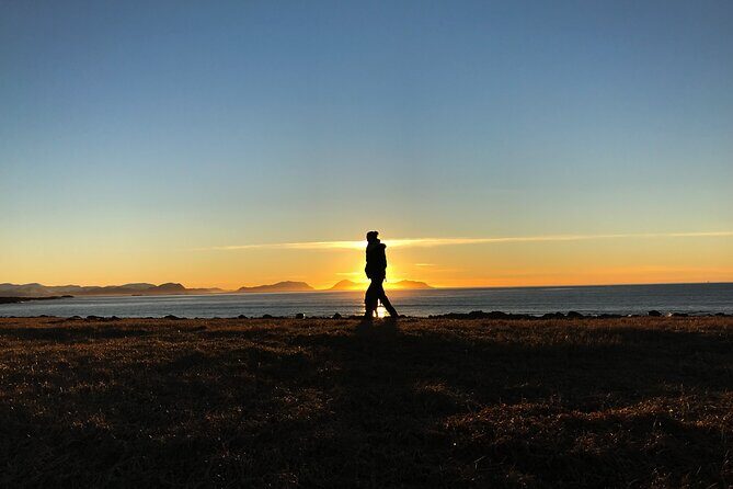 Shore Excursions Ålesund: Highlights Ålesund & Islands - Cruise-ship timing: pickup convenience and the return guarantee