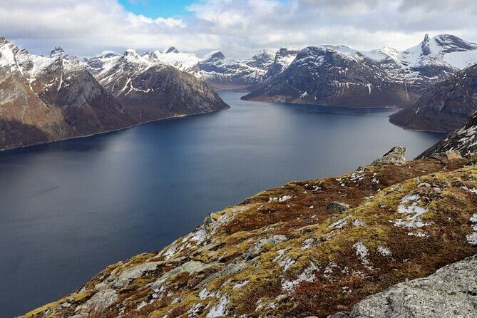Silent Coastal Cruise to Kjerringøy - Why This Silent Cruise Works So Well From Bodø