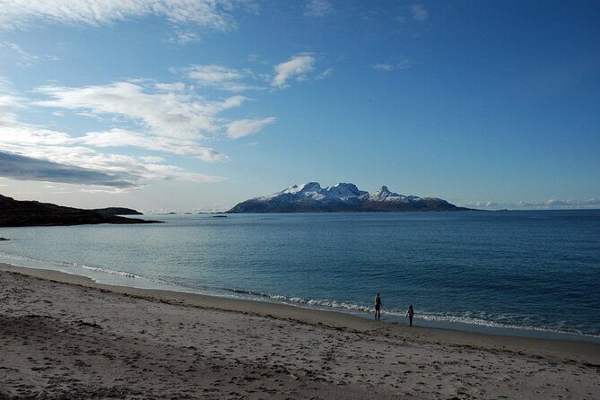 Silent Coastal Cruise to Kjerringøy - What to Expect From the Timing (and Where You Might Feel Rushed)