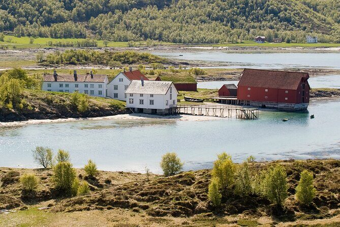 Silent Coastal Cruise to Kjerringøy - Should You Book Silent Coastal Cruise to Kjerringøy?