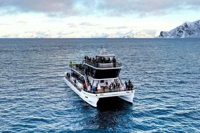 Silent Whale Watching by Hybrid-Electric Boat from Tromsø - Route Highlights: Lighthouse Views, Skjervøy Feeding Waters, and the Return Past Tromsø