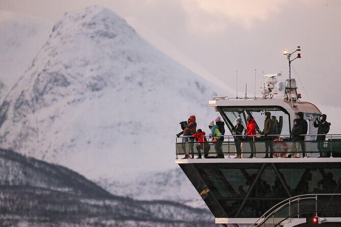 Silent Whale Watching by Hybrid-Electric Boat from Tromsø - Who This Tour Is Best For (and Who Might Want a Backup Plan)