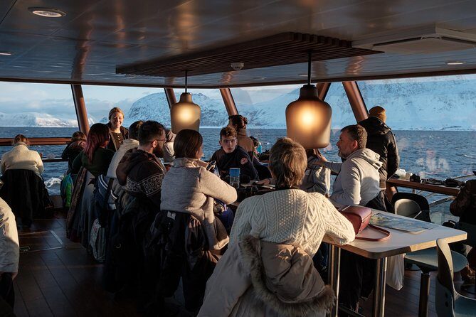 Silent Whale Watching by Hybrid-Electric Boat from Tromsø - Should You Book Silent Whale Watching from Tromsø?