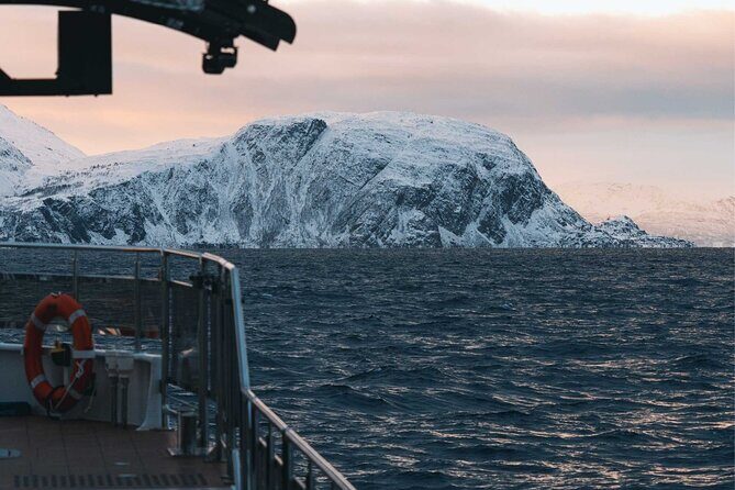 Silent Whale Watching on Hybrid-Electric Boat with Scenic Bustrip - Who should book this silent whale watching tour?