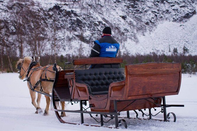 Sleigh or wagon ride in the arctic Country side - Arctic Sleigh Ride at Flatmoen Gård: The Key Things You’ll Notice