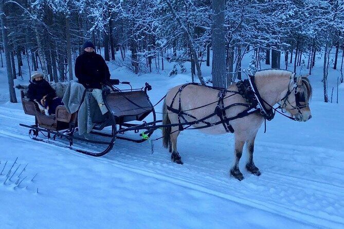 Sleigh or wagon ride in the arctic Country side - Meeting at 10:00: Pickup, Tickets, and Getting Warm Fast