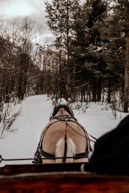 sleigh ride and dining experience - Key Things to Know Before You Go