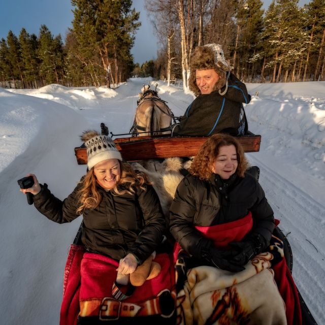 sleigh ride and dining experience - Fjord Horses and Springy Sleighs: Getting Comfortable Fast