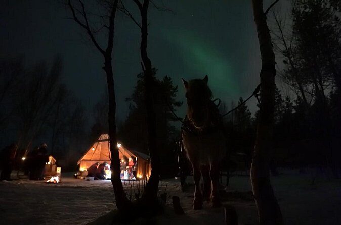 Sleigh ride Under The Northern Lights - On the Sleigh Along the Alten River: Cozy Winter Motion