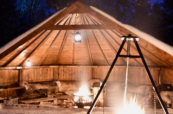 Sleigh ride Under The Northern Lights - Northern Lights Viewing: What to Expect When the Sky Responds