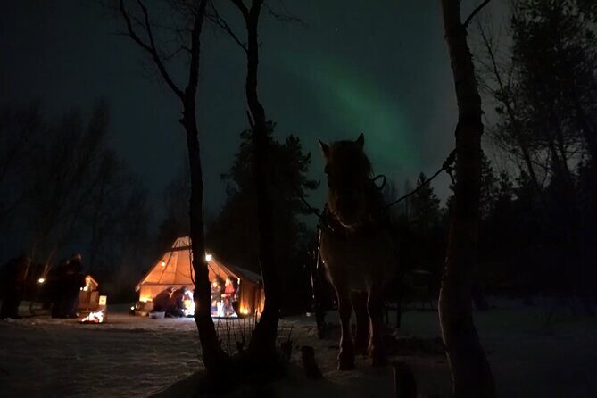 Sleigh ride Under The Northern Lights - Price and Value: Does $321.96 Make Sense?