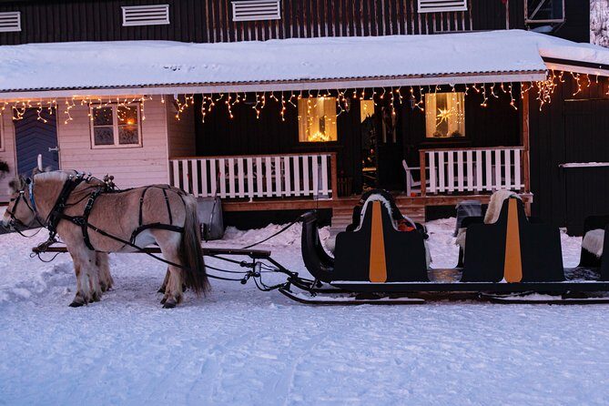 Sleigh Ride w/ snacks - Experience Arctic Farm Life - Key highlights to know before you go