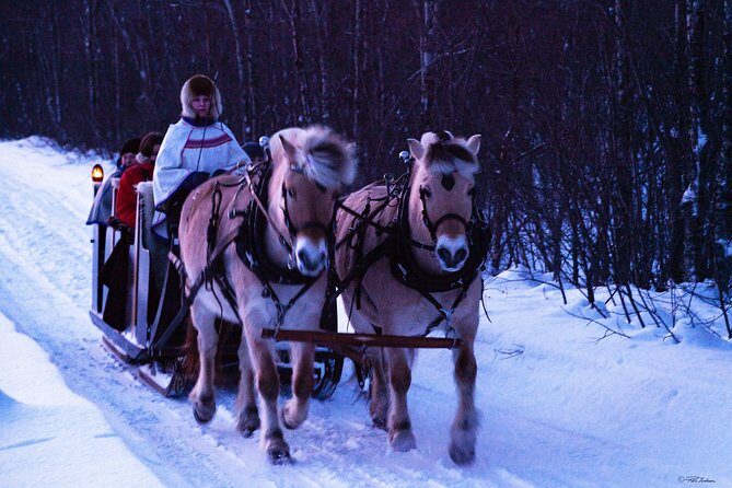 Sleigh Ride w/ snacks - Experience Arctic Farm Life - Alta to Omdal Gard: Door-to-door Arctic Farm Transport
