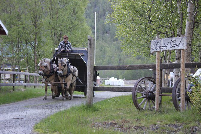 Sleigh Ride w/ snacks - Experience Arctic Farm Life - Meet the animals: sheep, stables, and why the barns matter
