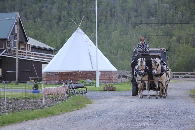 Sleigh Ride w/ snacks - Experience Arctic Farm Life - Northern Lights chances: the honest way to think about aurora