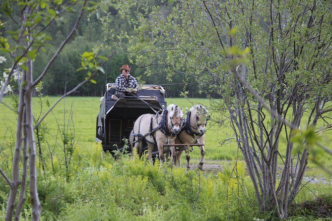 Sleigh Ride w/ snacks - Experience Arctic Farm Life - Price and value: what you’re actually paying for