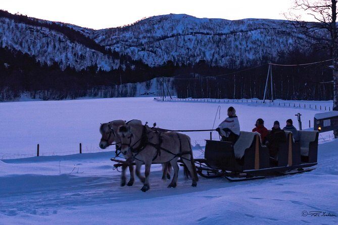Sleigh Ride w/ snacks - Experience Arctic Farm Life - Who this Arctic farm sleigh ride fits best