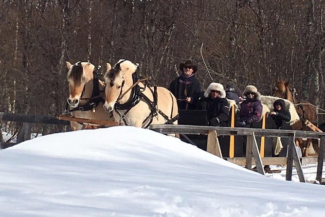 Sleigh Ride w/ Tapas Meal - Experience Arctic Farm Life - Best Timing: The 2:00 PM Start and Why It Works
