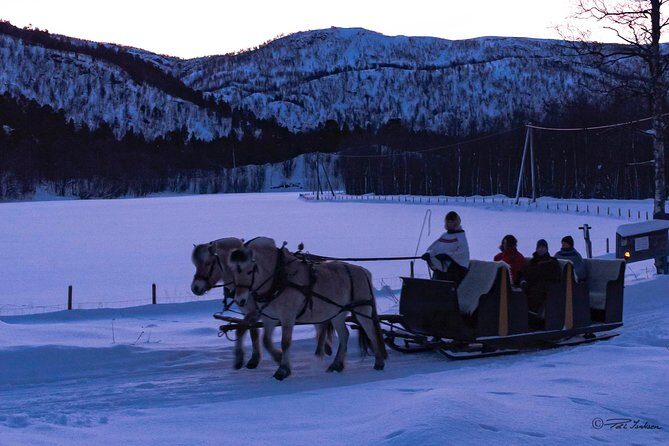 Sleigh Ride w/ Tapas Meal - Experience Arctic Farm Life - Who Should Book This (and Who Might Want to Pass)