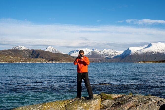 Small Group Arctic Fjords Road trip with Scenic Picnic - Roaming wildlife spotting without the fantasy guarantee