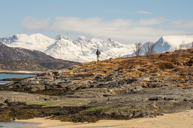 Small Group Arctic Fjords Road trip with Scenic Picnic - Price and value: what $161.84 really covers