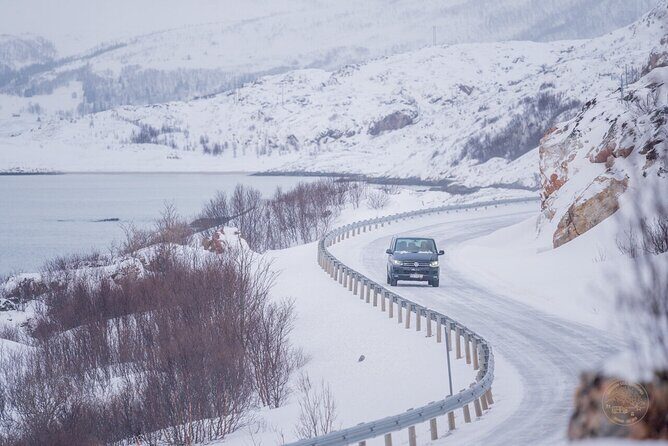 Small Group Arctic Fjords Road trip with Scenic Picnic - Timing, weather, and how to dress for the day