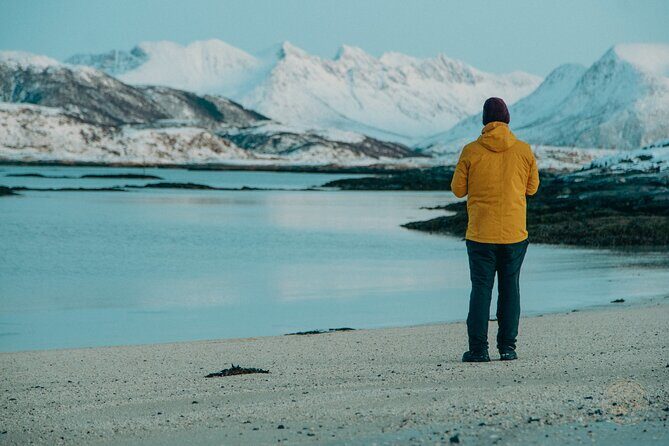 Small Group Arctic Fjords Road trip with Scenic Picnic - Kvaløya: The island stop that feels wide and raw