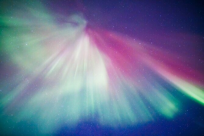 Small group Aurora Chases - When the Sky becomes Magic - Aurora camp breaks: snacks, hot chocolate, and bonfire warmth