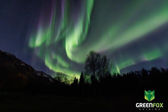 Small group Aurora Chases - When the Sky becomes Magic - Photography support: pro photos, tripod use, and portrait shots
