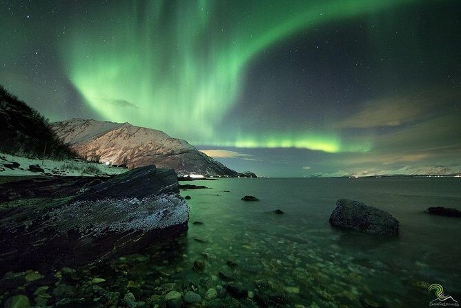 Small-Group Northern Lights Tour from Tromso with Photos - Staying Warm Without Losing Your Hands: Thermal Suits, Hot Drinks, Bonfires