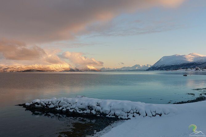 Small-Group Norwegian Fjords Tour from Tromso with Photos - A Small-Group Fjord Drive That Feels Like Local Time