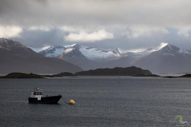 Small-Group Norwegian Fjords Tour from Tromso with Photos - Meet at Magic Ice Bar, Then Hit the Fjords