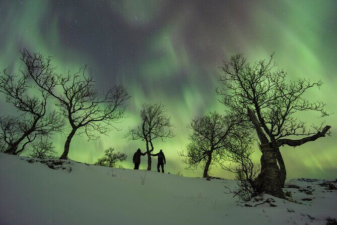 Small Group Quest to find the Northern Lights in Tromsø - Meeting in the historic center and planning your night