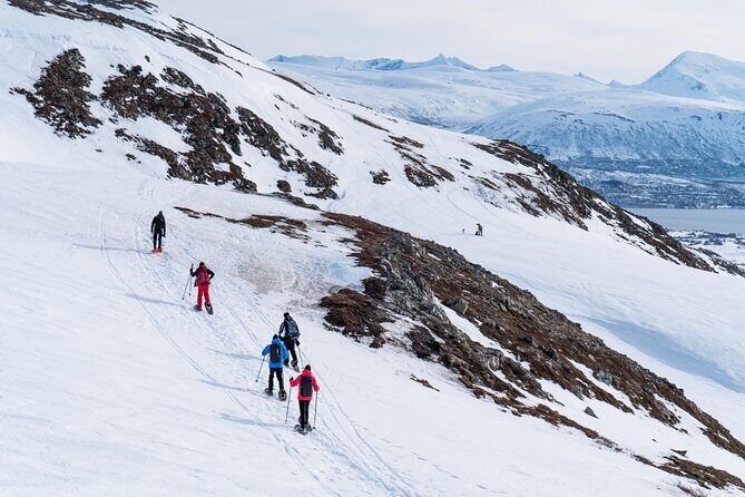 Small Group Snowshoe Hike in Tromso - Key highlights you’ll actually feel on the snow
