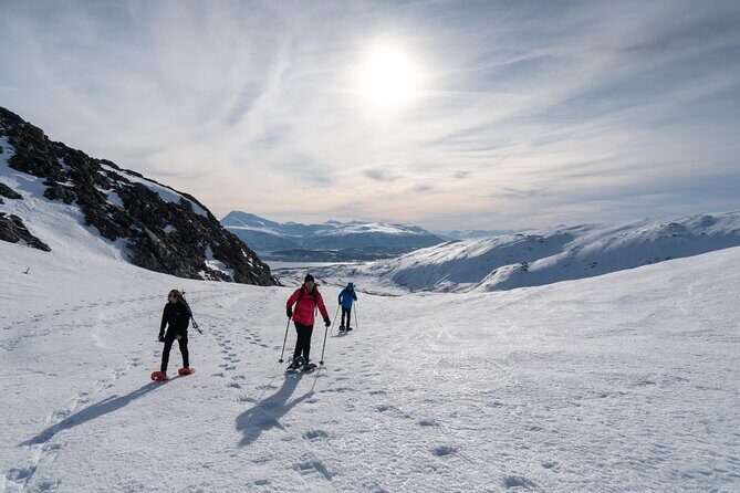 Small Group Snowshoe Hike in Tromso - Meeting point and early timing: plan your morning like a local