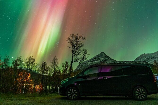 Small Group Van Journey in Search of the Northern Lights - Key highlights at a glance