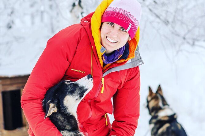 Small scale and Intimate Wilderness Dog Sledding 2h from Tromsø - Why Tromsø Husky Sledding Feels Different Here