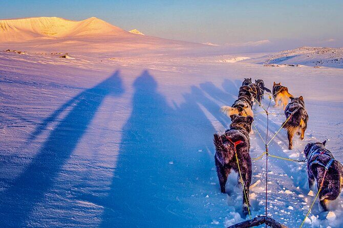 Small scale and Intimate Wilderness Dog Sledding 2h from Tromsø - Meeting the Kennel: Family-Run, Animal-Focused, and Not Crowded