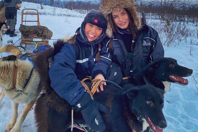 Small scale and Intimate Wilderness Dog Sledding 2h from Tromsø - Bonfire Picnic Lunch in the Wilderness (Why This Stop Matters)