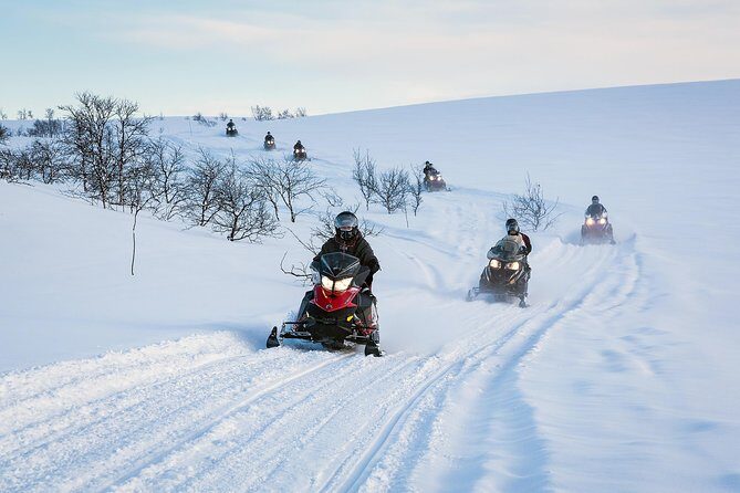 Snowmobile safari in the mountain plateau of Finnmarksvidda - Key things that make this safari worth your time