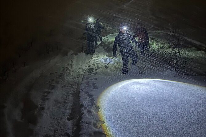 Snowshoe Expedition with Local Guides in Artic Terrain - Small group experience: why max 8 makes this feel personal