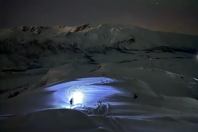 Snowshoe Expedition with Local Guides in Artic Terrain - Price and value check: $192.48 for 4 hours in Arctic terrain