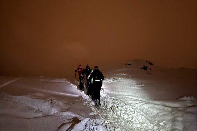 Snowshoe Expedition with Local Guides in Artic Terrain - Who this snowshoe tour is best for (and who should consider alternatives)