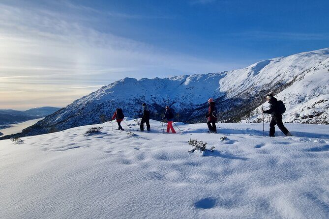 Snowshoe hiking in Bergen - Public tour - Why This Bergen Snowshoe Tour Feels Worth It