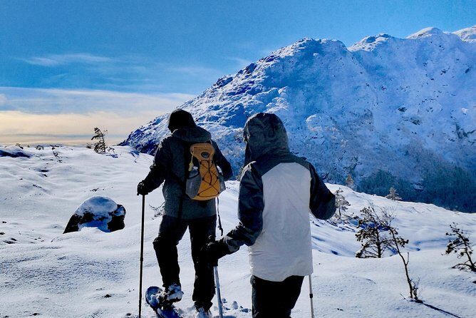 Snowshoe hiking in Bergen - Public tour - Hot Drink and Norwegian Snack: The Warm Reset