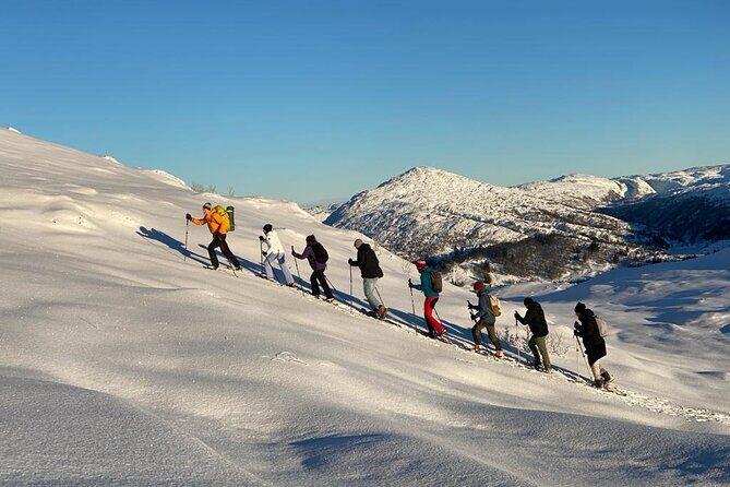 Snowshoe hiking in Bergen - Public tour - The Summit Moment: Fjord Views or Winter Power