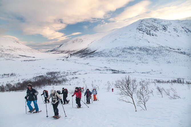 Snowshoe Hill Hike in Tromsø - Key Highlights You’ll Actually Feel
