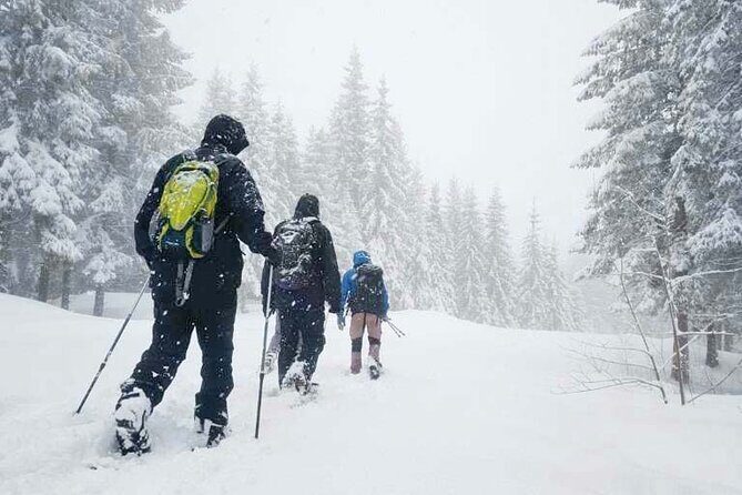 Snowshoe Tour in Winter Wonderland - Oslo - Key highlights I’d plan around