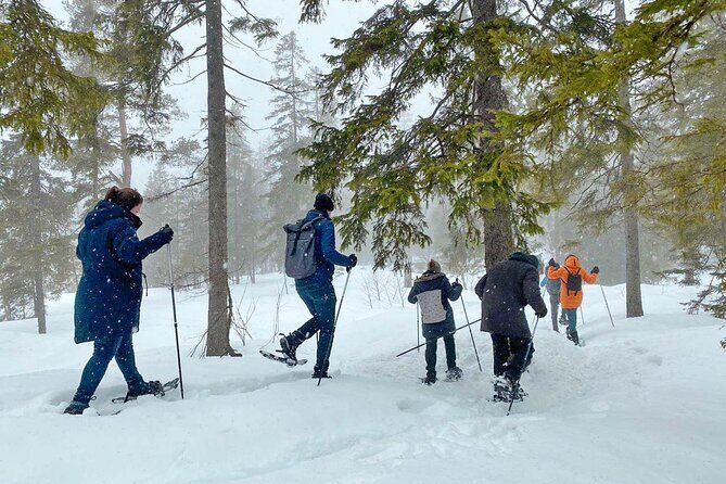 Snowshoe Tour in Winter Wonderland - Oslo - Timing: 9:55 am start, 3.5 hours total, and how you end the day